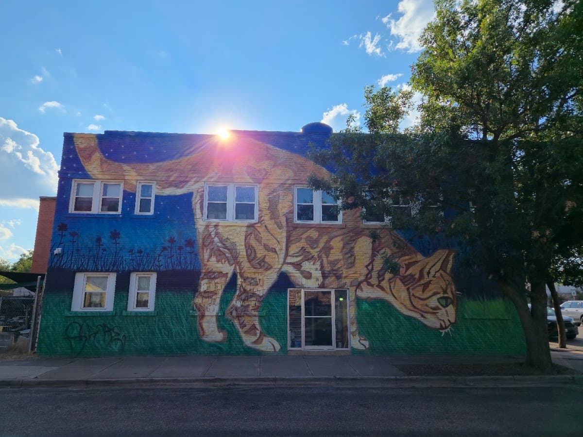 Alley Katz