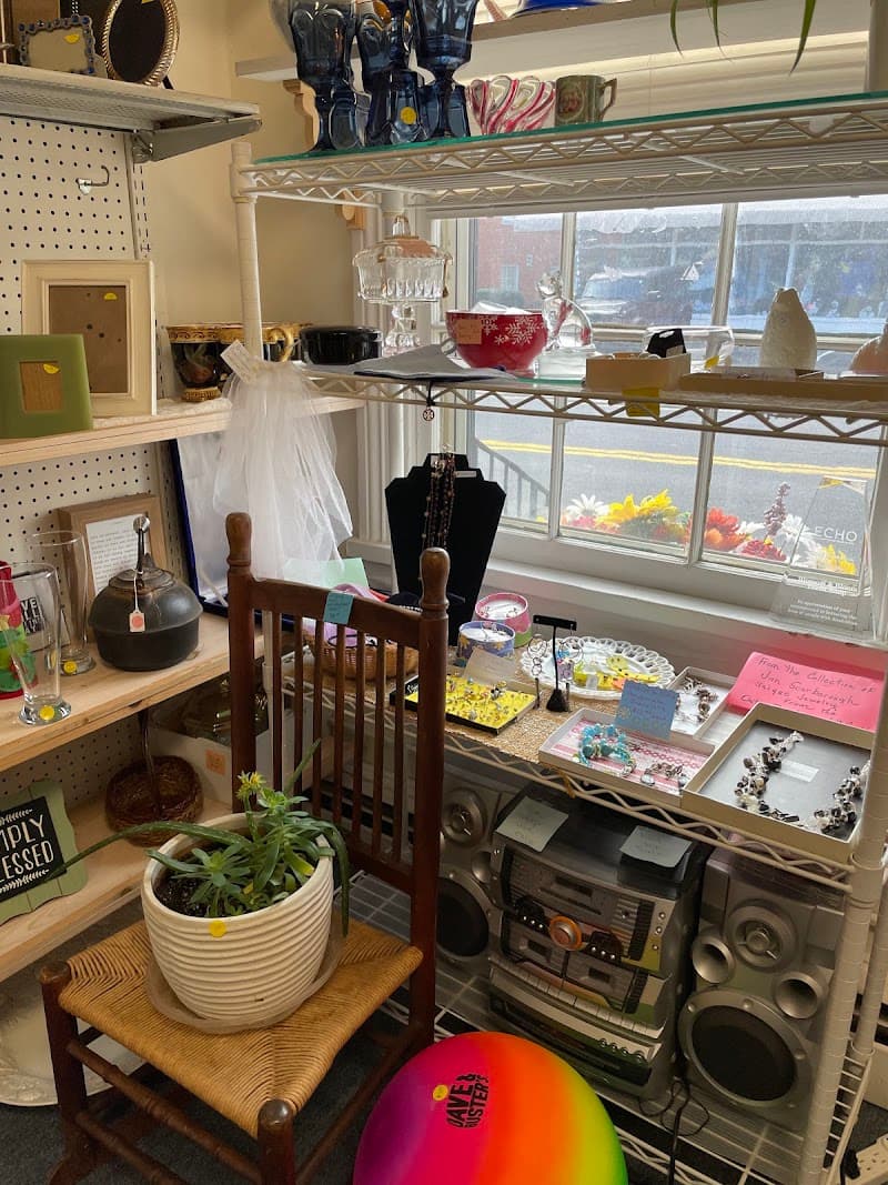 Blossom & Bloom Shop Inc