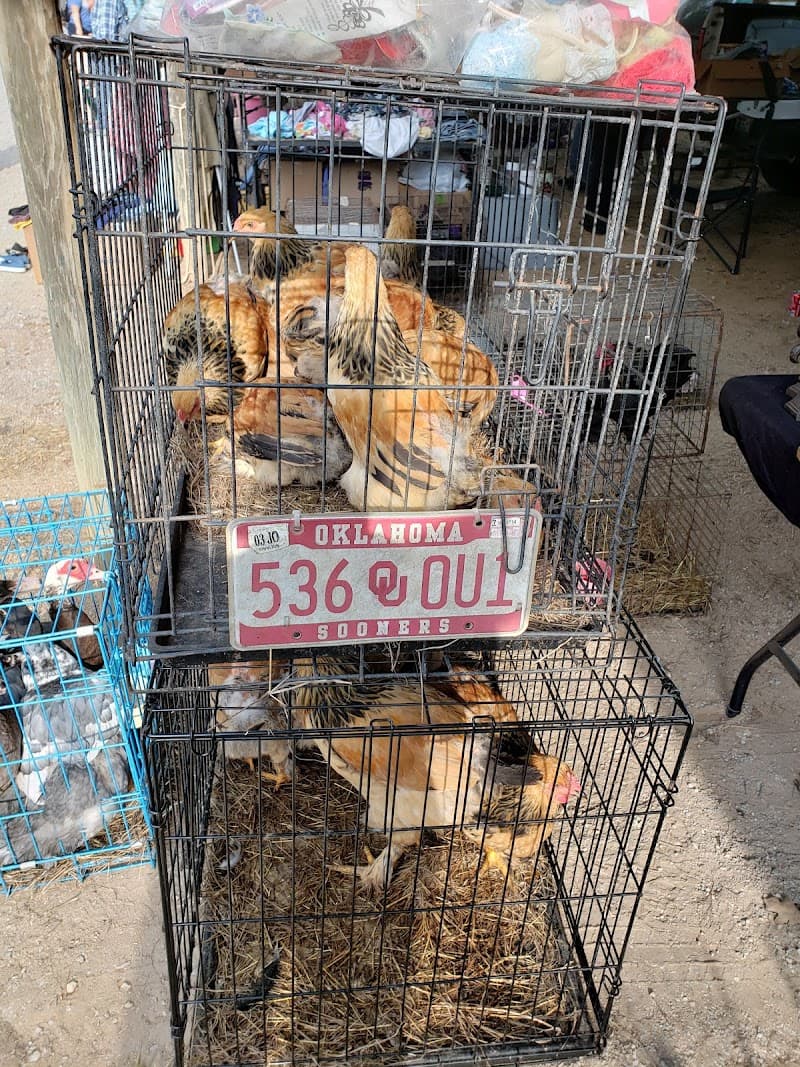 Dog Trade