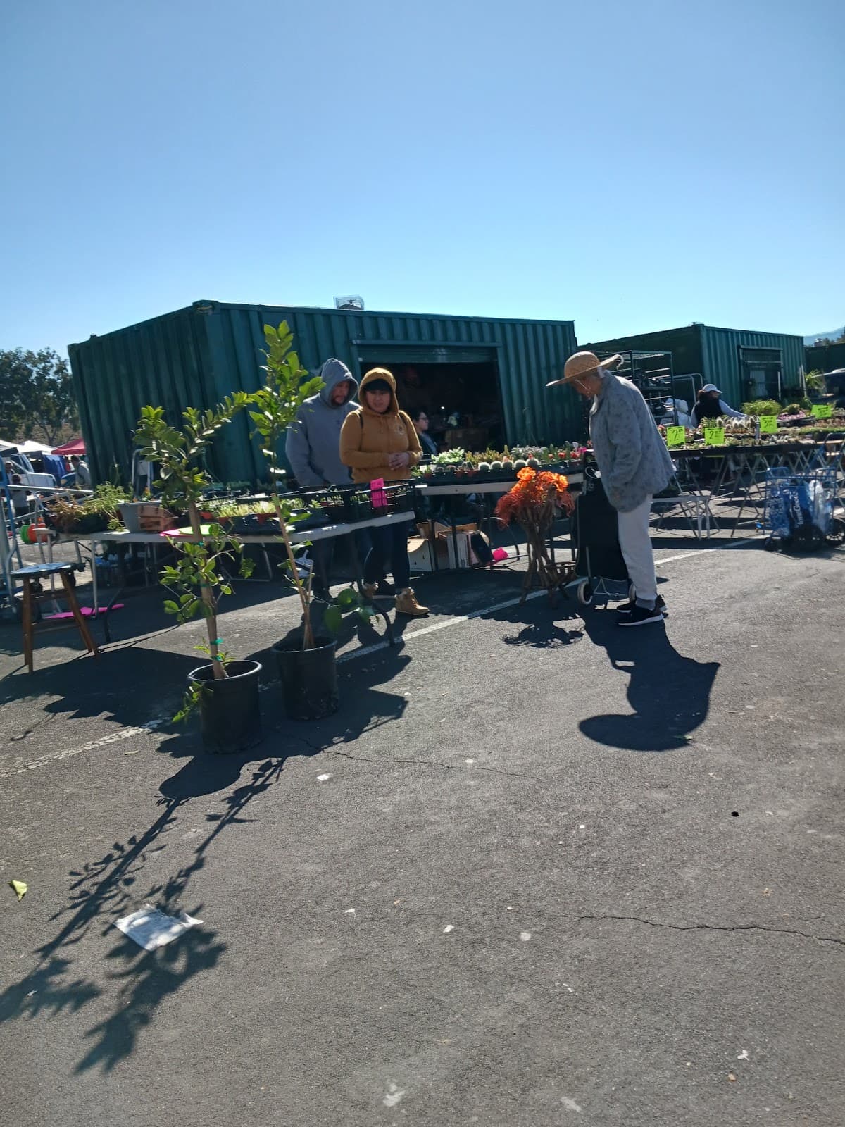 Flea Market Parking Lot