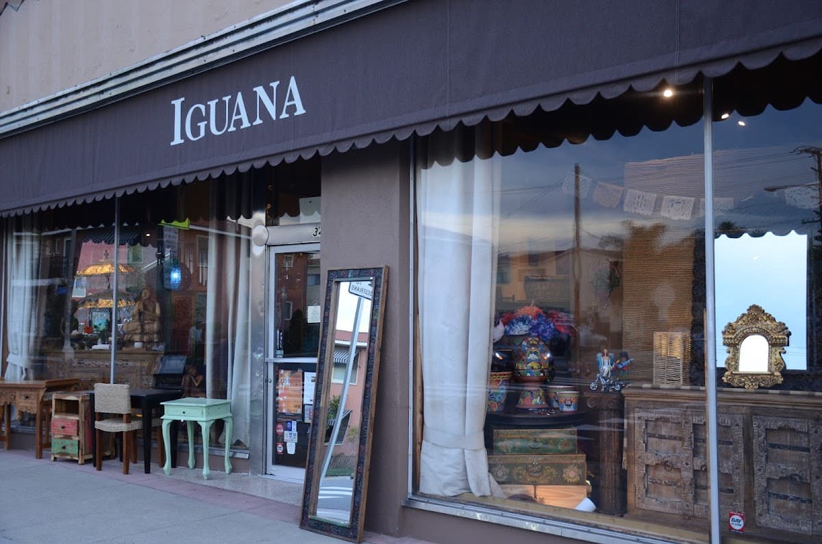 Iguana Import Gallery