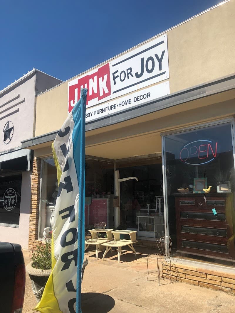 Junk For Joy