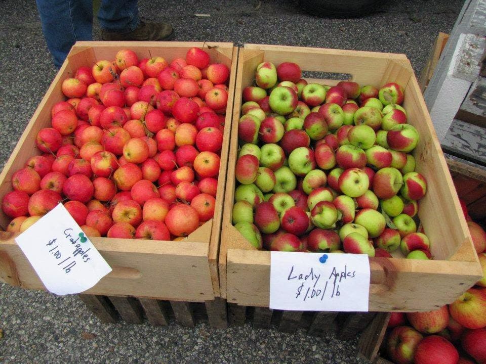 Kennebunk Farmersβ Market