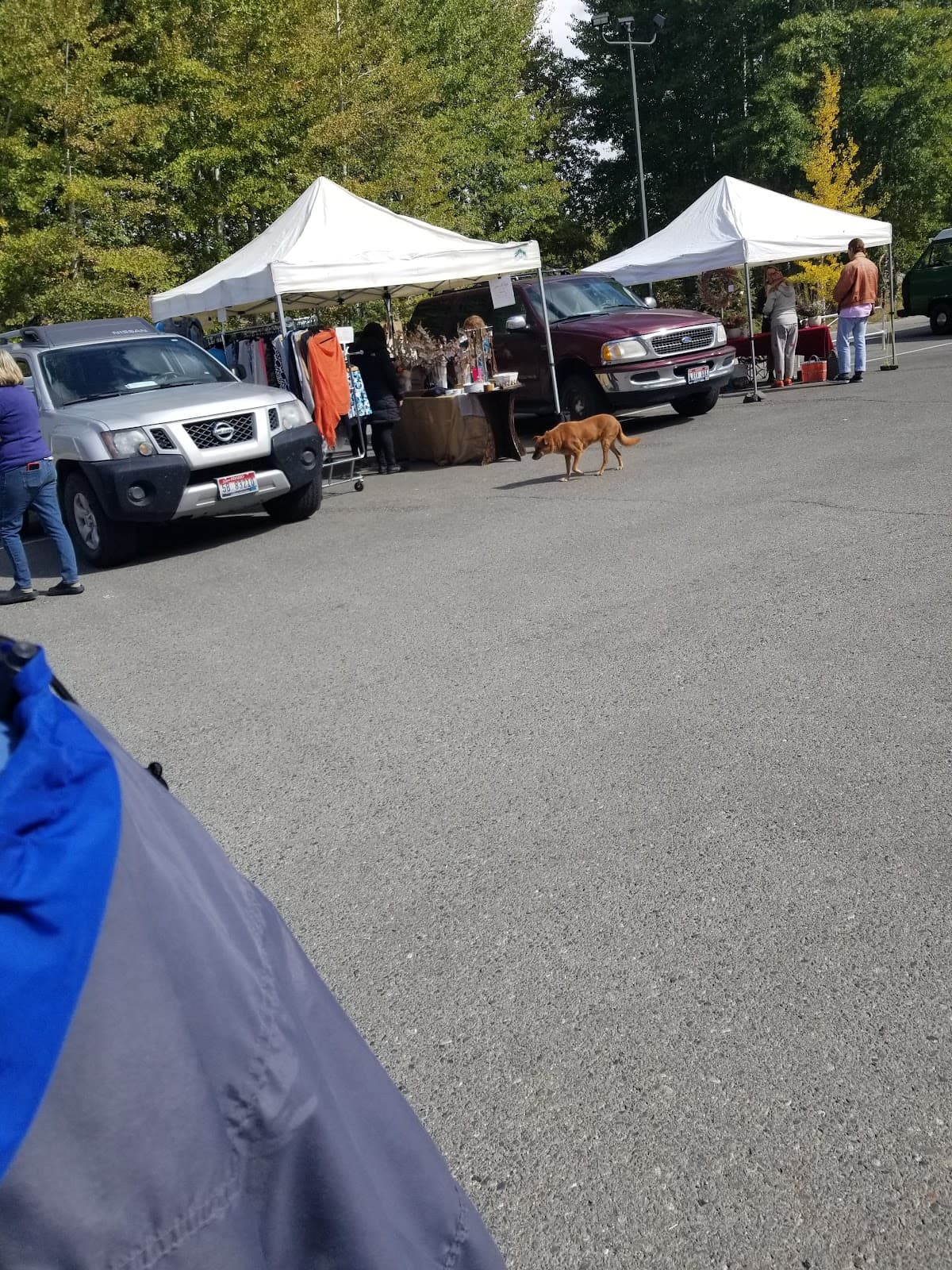 Ketchum Farmersβ Market