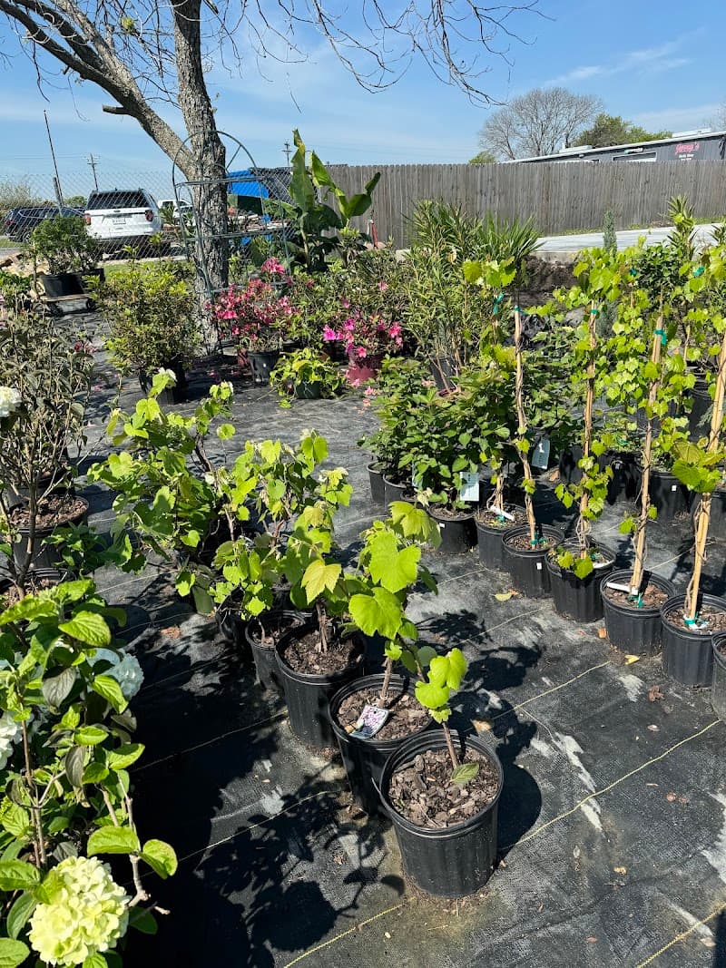 Magnoliaβs Nursery & Market