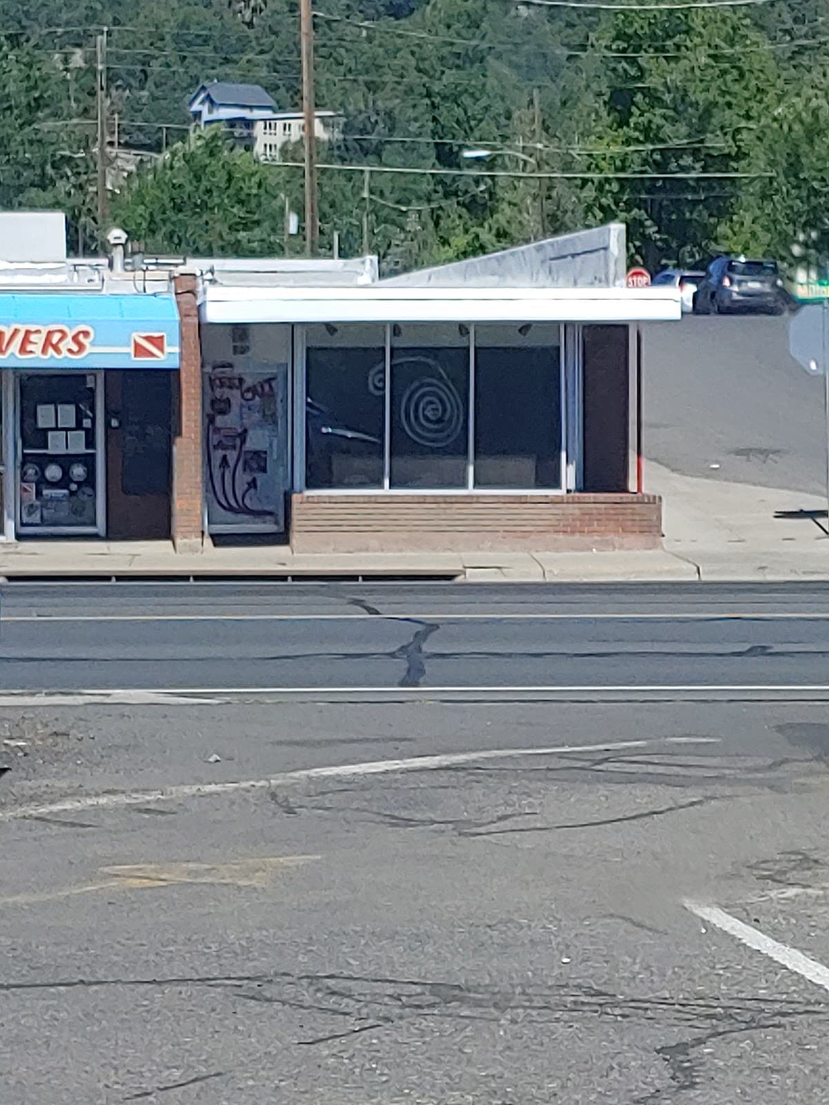 Rogue Antiques and Vintage Vinyl