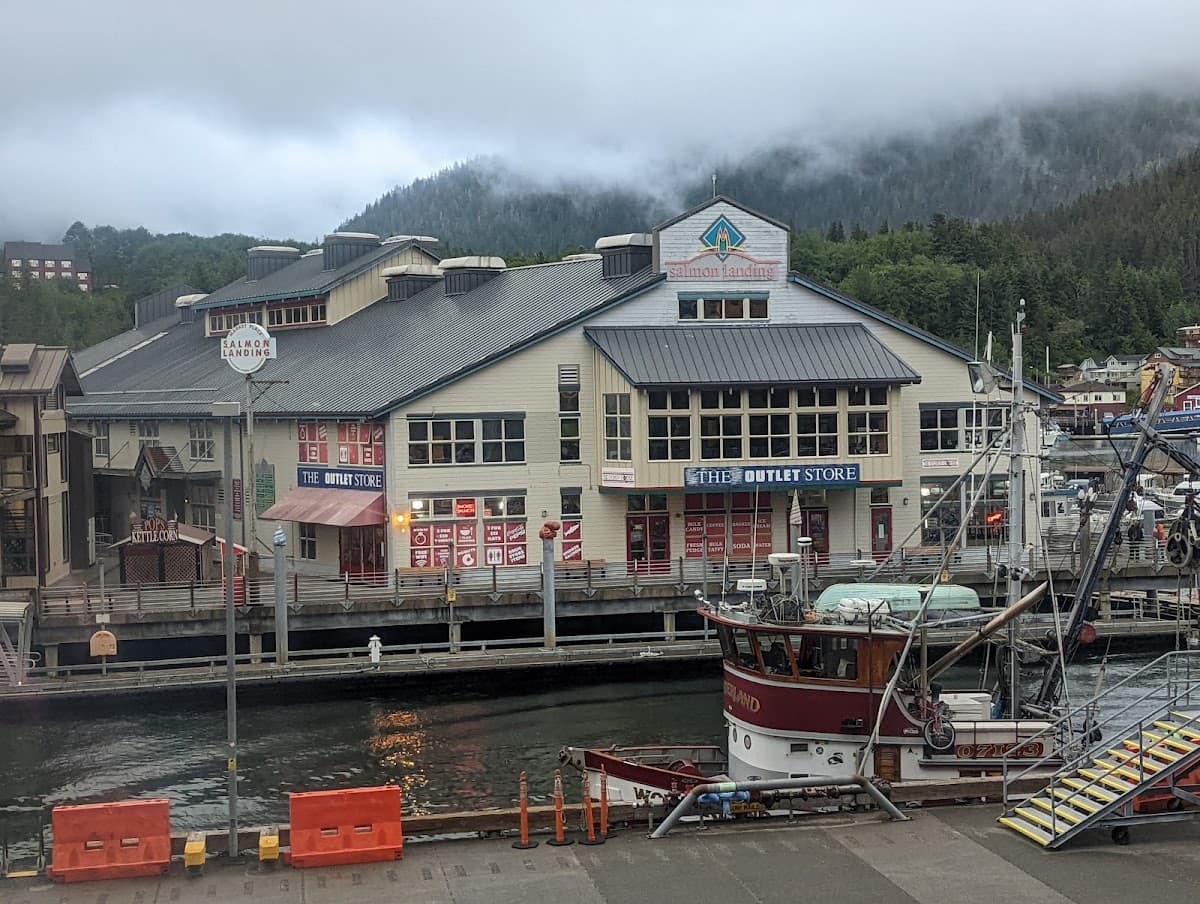 Salmon Landing Market