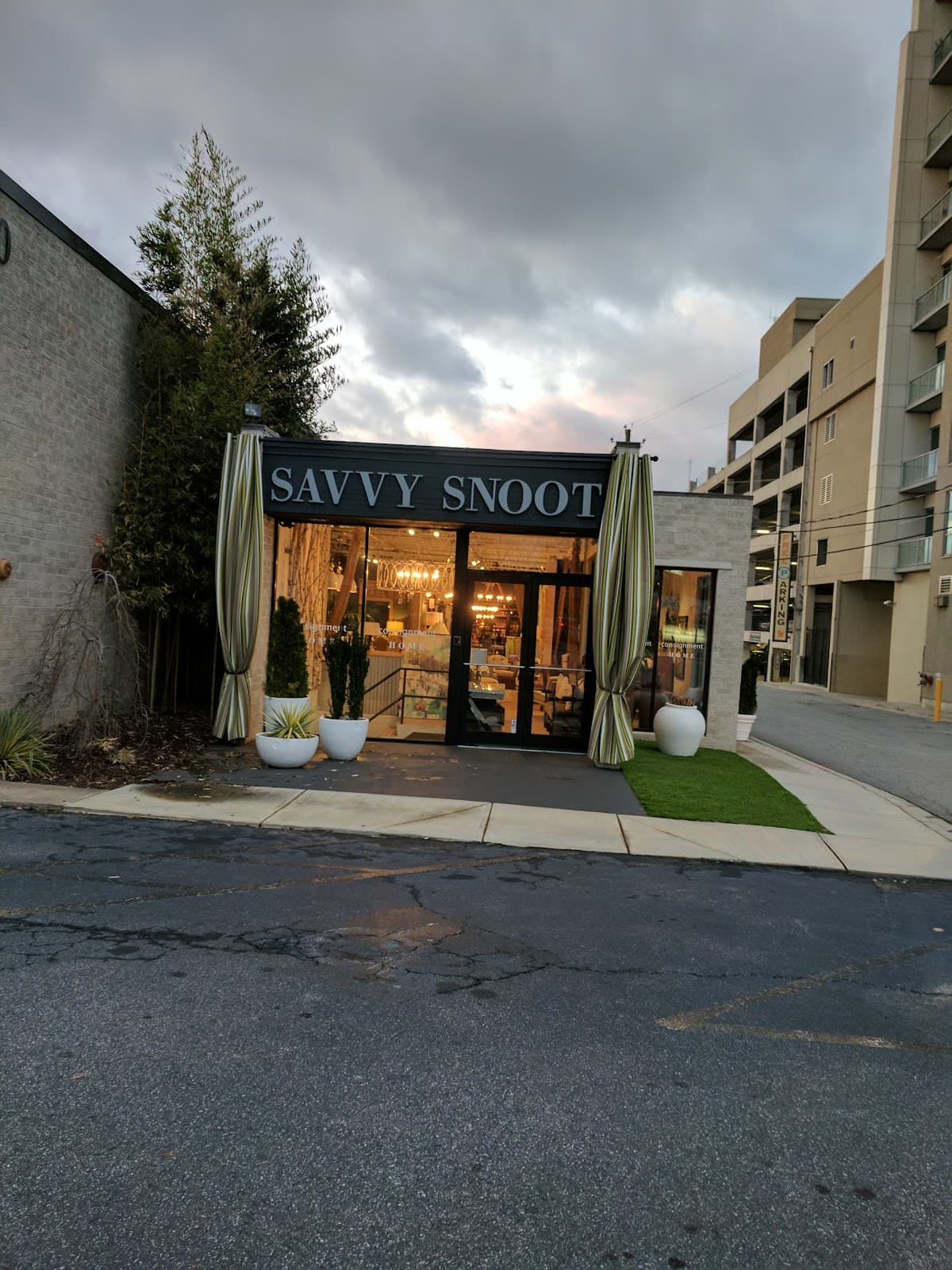 Savvy Snoot