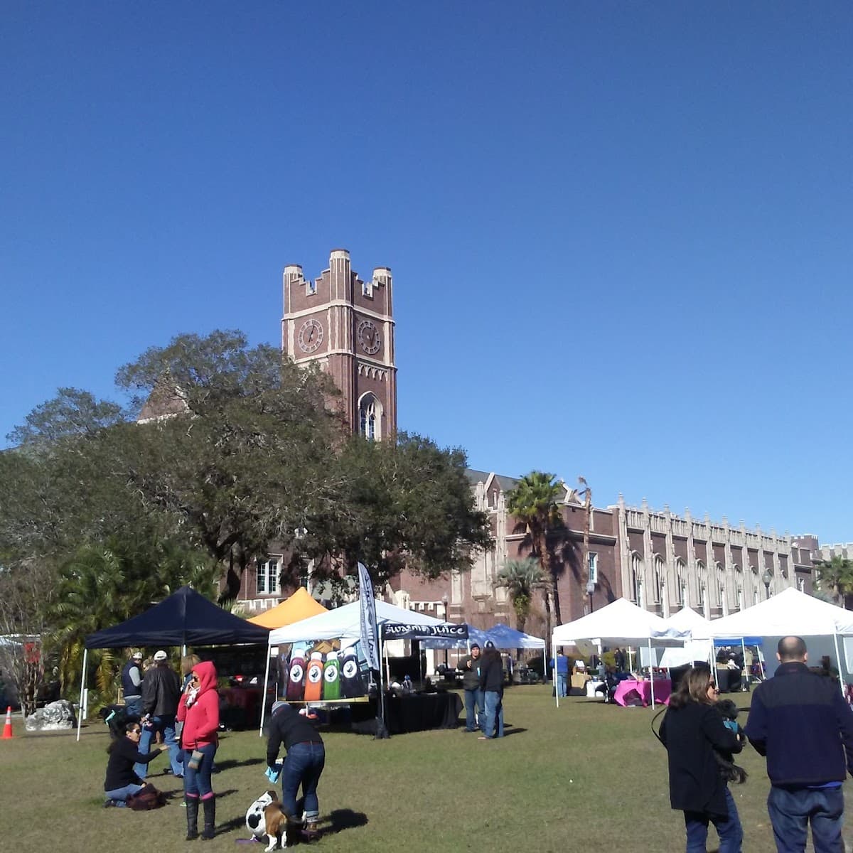 Seminole Heights Market