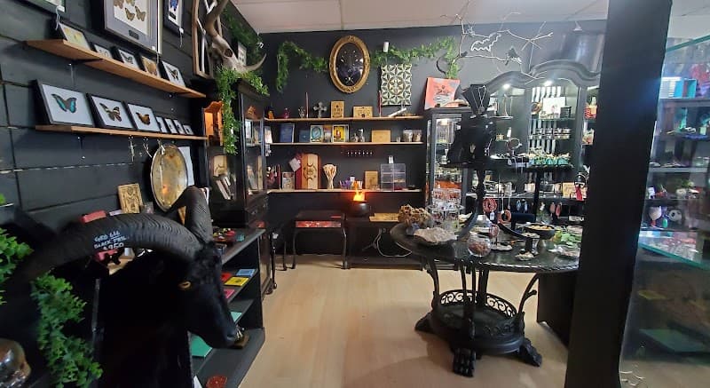 Skellington Curiosities