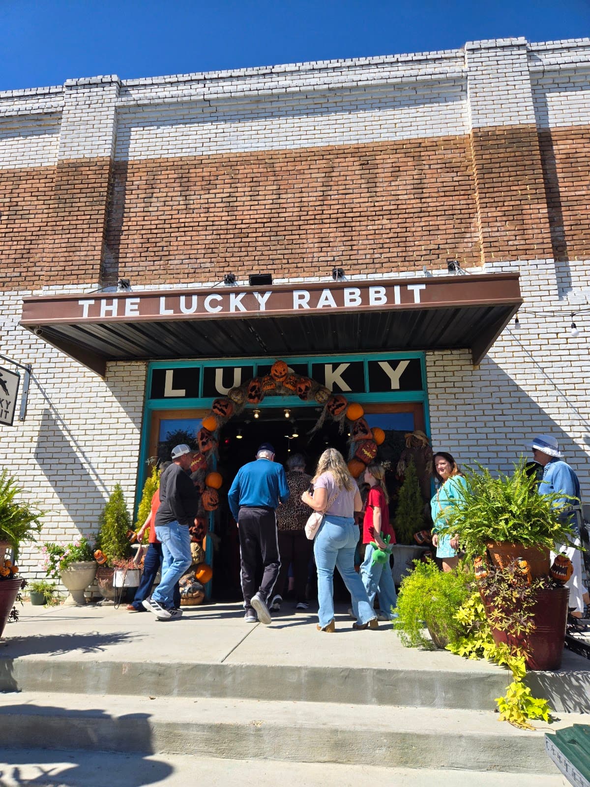 The Lucky Rabbit