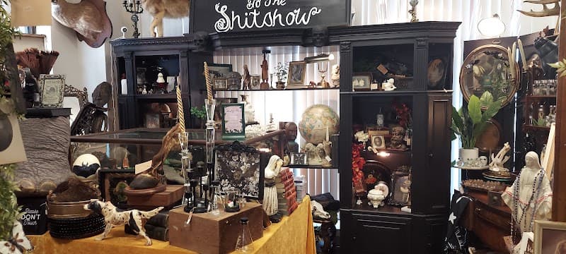 The Parlour Antiques and Oddities