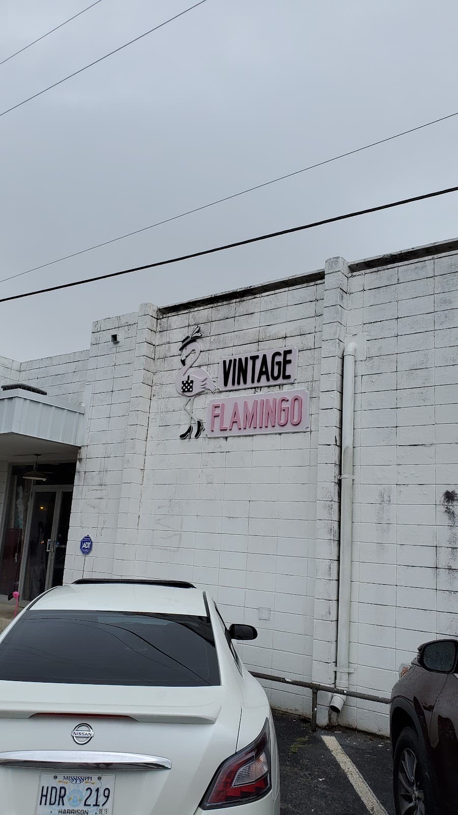 Vintage Flamingo